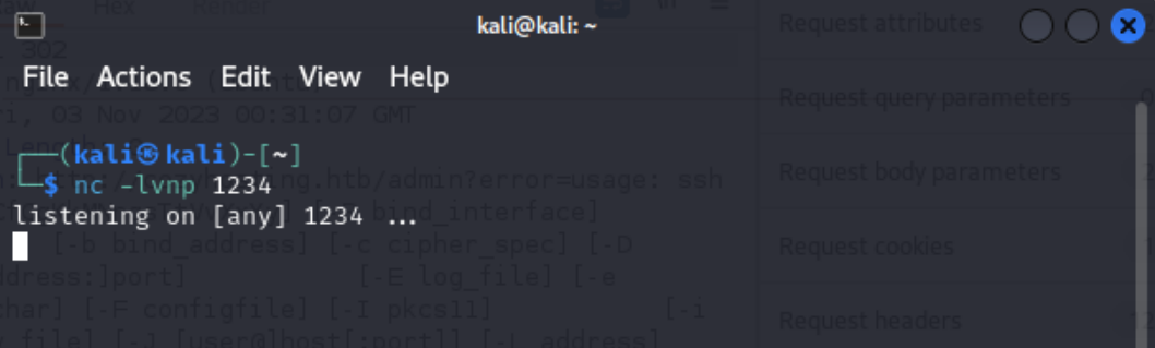 NetCatListener