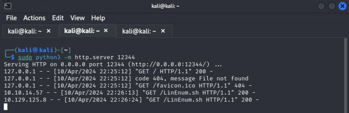 Python server